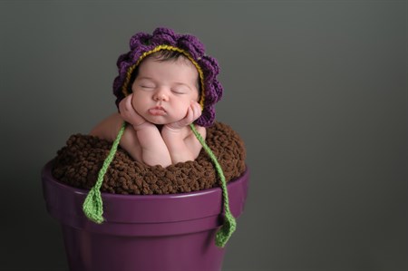 Adams Istock Baby Flower