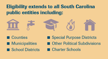 LGIP Eligible Entities infographic